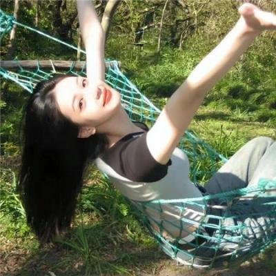 燕子盗